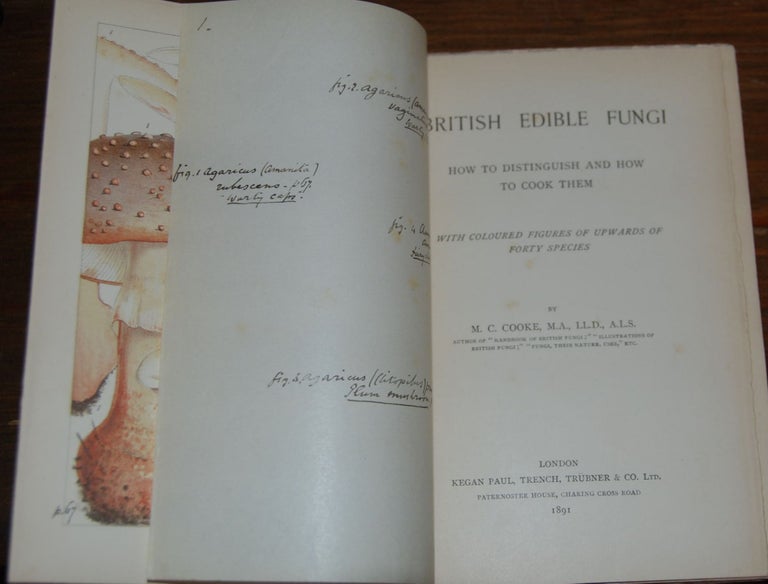 Item #48207 BRITISH EDIBLE FUNGI; How to distinguish and how to cook them with coloured figures up upwards of forty species. COOKE, ordecai, ubitt.