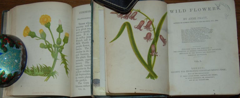 Item #57748 WILD FLOWERS.; Published under the direction of the Committee of General Literature and Education, appointed by the Society for Promoting Christian Knowledge. Anne PRATT.